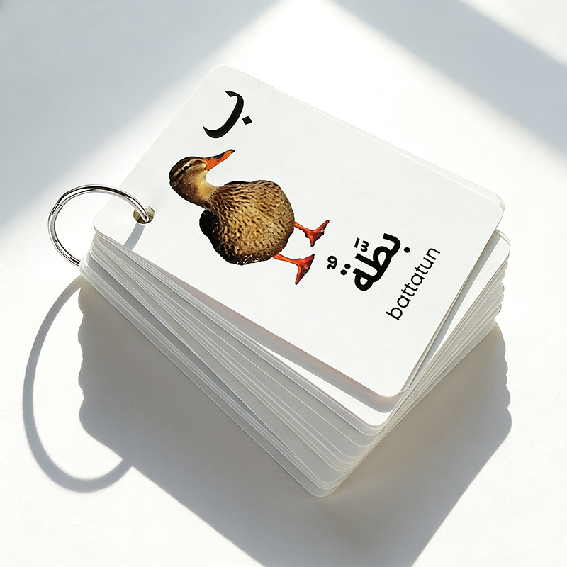 colorful arabic kids arabic flashcard set-3